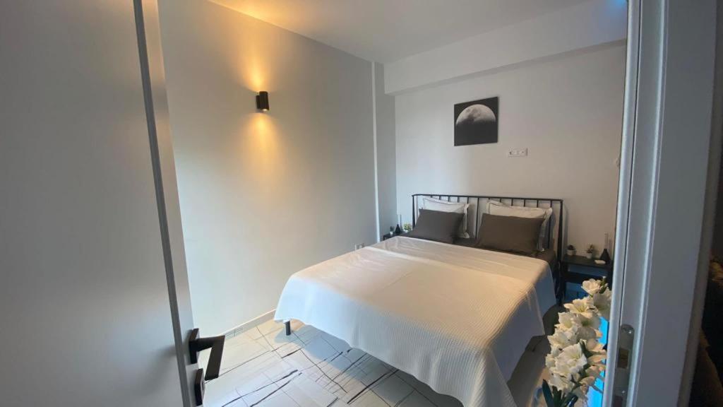Q Luxury Apartment - Palas Center ياش المظهر الخارجي الصورة